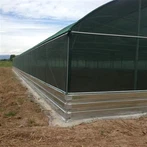 Salyangoz yetishtirish uchun issiqxona