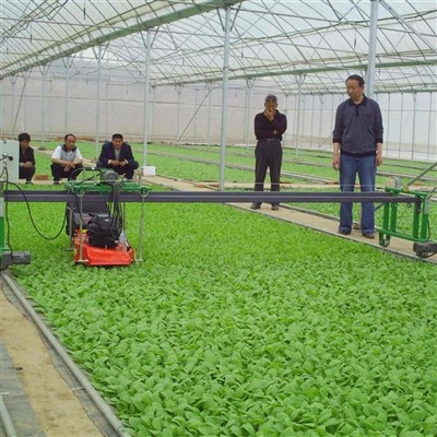 Multi-span Agriculture Greenhouse